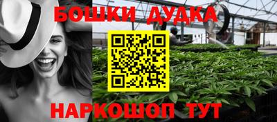 крисы Волгодонск