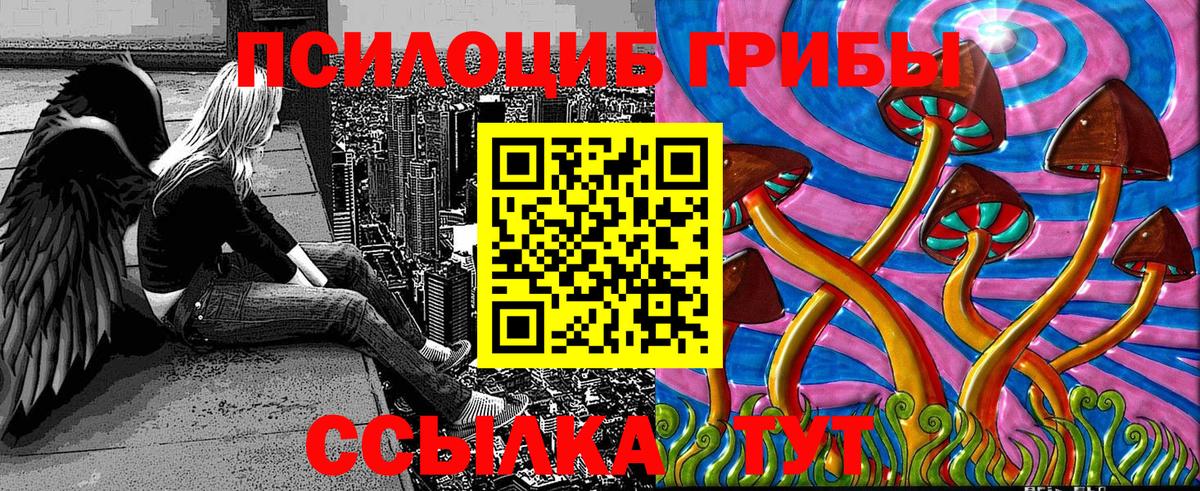 Псилоцибиновые грибы прущие грибы  Вход с VPN  Сергиев Посад 